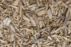 biomass boilers Wood Norton